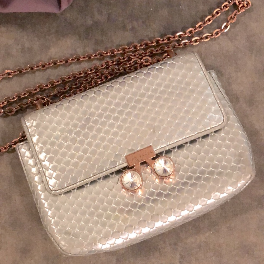 Authentic Ted Baker Silver Glam Crossbody Purse.